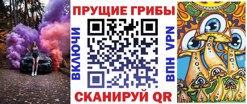 hydra как войти  Йошкар-Ола  Псилоцибиновые грибы GOLDEN TEACHER 